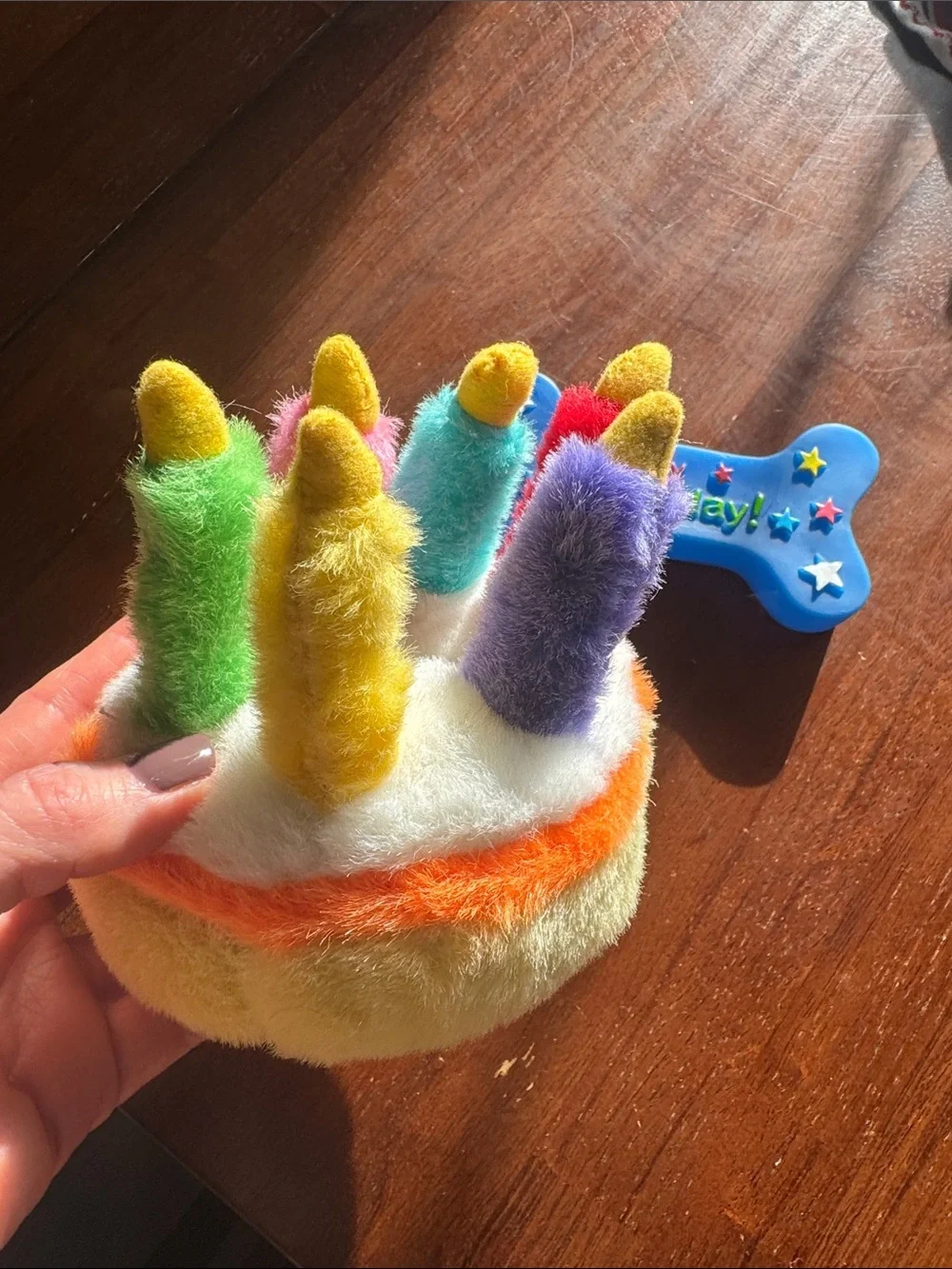 Birthday Plush Cake Pet Toy with 'It's My Birthday' Bone